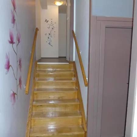 Mikulic Apartman Zadar